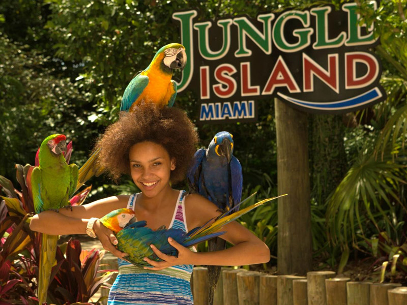 jungle island sign with parrots and young girl